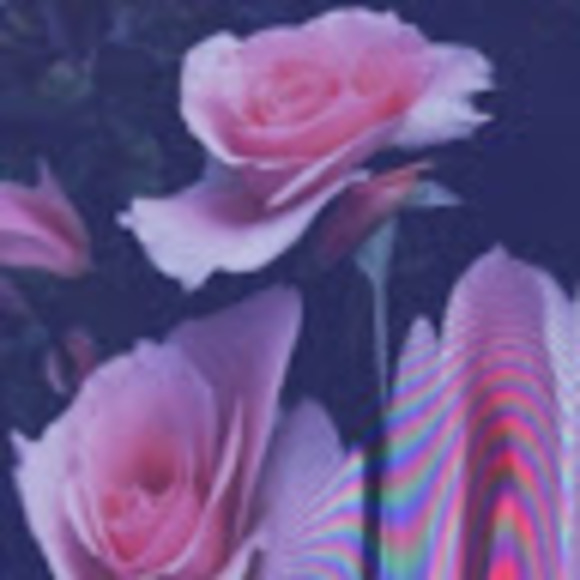 Meet your Posher, Julia - Picture 1 of 1